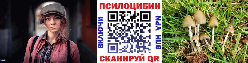 Галлюциногенные грибы Psilocybine cubensis Верхоянск